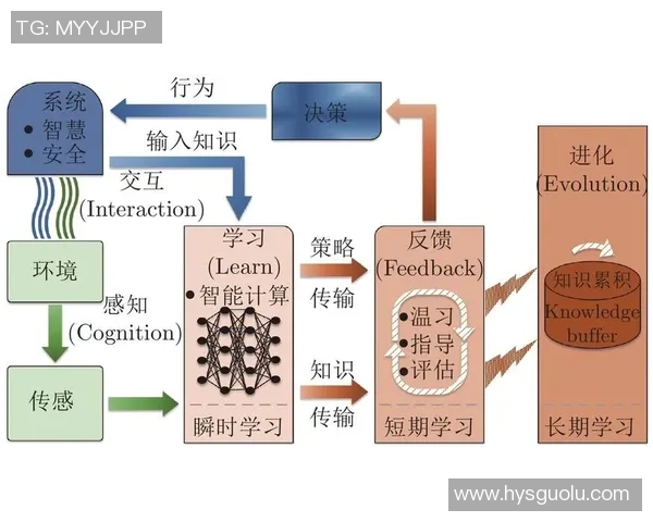 红桃国际强化学习助力智能决策与创新应用的未来发展探索