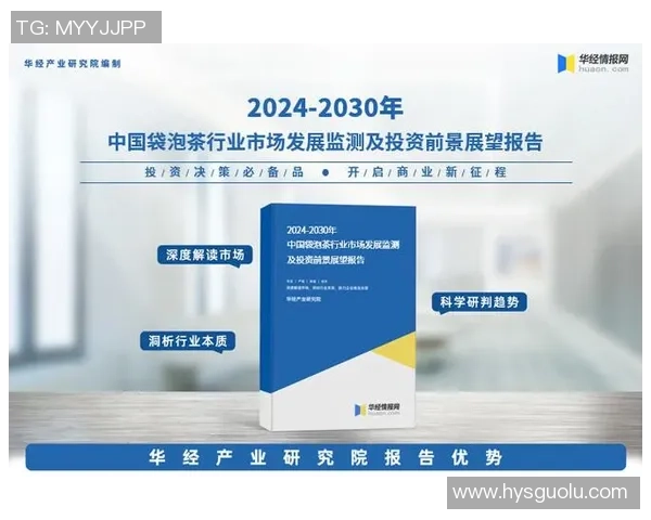 聚焦未来娱乐市场发展战略的产品路线图解析与展望